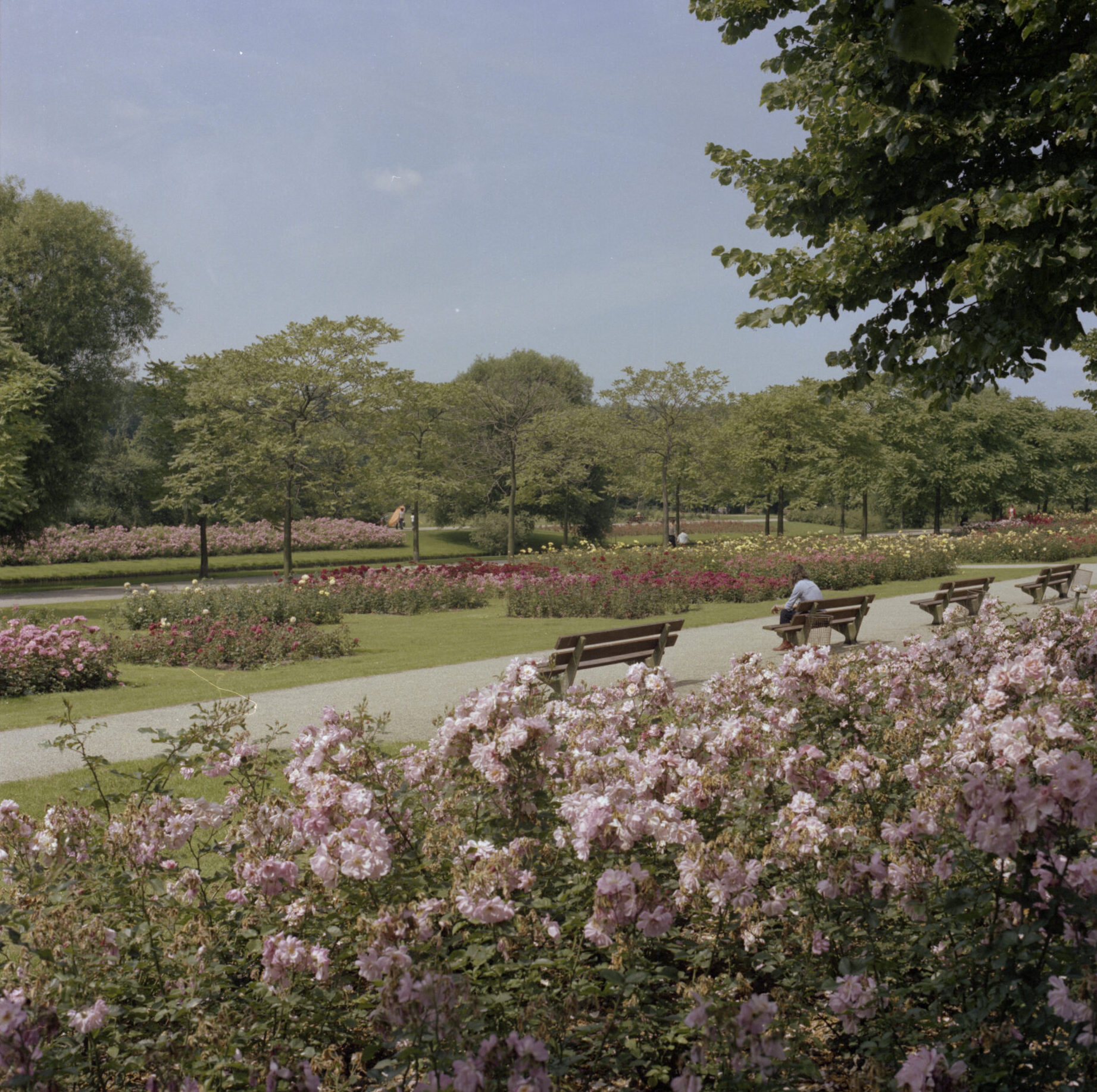 Tuin Museumpark_Audiotour